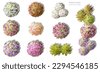 175,390 Tree Plan Royalty-Free Images, Stock Photos & Pictures ...