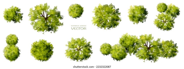 Vector watercolor of green tree top view isolated on white background for landscape plan and architecture drawing, elements for environment and garden,botanical elements