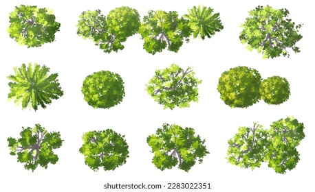 Vector watercolor of green tree top view isolated on white background for landscape layout plan and architecture drawing, elements for environment and garden,blooming botanical elements  