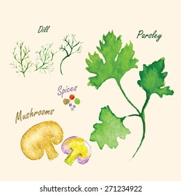 Vector. Watercolor greens, mushrooms and spices. Parsley, dill, pepper and mushrooms.