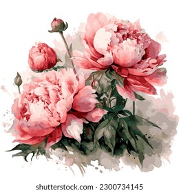 Vector watercolor hand drawing, beautiful flowerson white isolated background, Bouquet of flowers from peonies