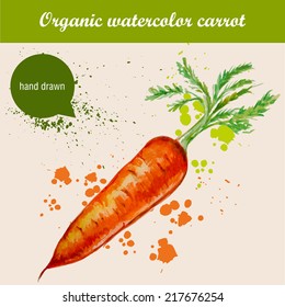 Vector watercolor hand drawn carrot with leaves and watercolor drops. Organic food illustration.