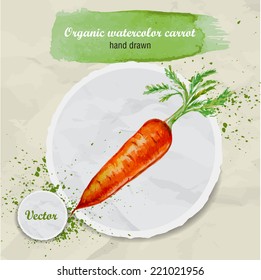 Vector watercolor hand drawn carrot with leaves and watercolor drops on round paper piece. Organic food illustration.