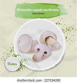Vector watercolor hand drawn lot champignon mushrooms on old paper background. Watercolor drops. Organic food illustration.