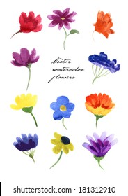 Vector watercolor hand drawn colorful flowers.