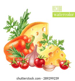 Vector watercolor hand drawn concept illustration with fresh organic cheeses, vegetables and herbs on a white background 