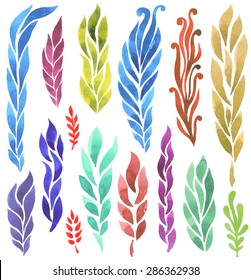 Vector watercolor hand drawn design elements, leaves and flowers