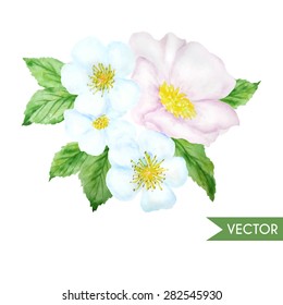 Vector watercolor hand drawn flower composition. Illustration  for save the date, birthday cards, wedding invitations.