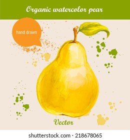 Vector watercolor hand drawn fresh organic pear with watercolor drops. Organic food illustration.