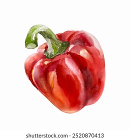 Vetor aquarela mão desenhado fresco orgânico vermelho sino pimenta isolado em um fundo branco. Ilustração realista. Eps 10. Não é IA. Moderna imagem botânica bonito. Arte de estilo criativo para design moderno.