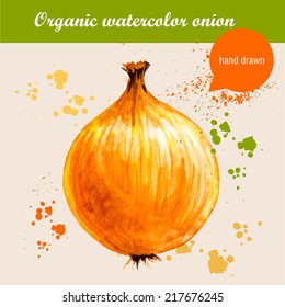 Vector watercolor hand drawn onion with watercolor drops. Organic food illustration.