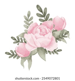 Vektor Aquarell handgezeichnete Pfingstrosen und Blätter einzeln auf weißem Hintergrund. Blumenset für Hochzeit und Einladung. Hochzeit rosa Blumen für Design und Dekoration