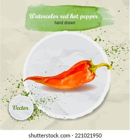 Vector watercolor hand drawn red hot chilli pepper on round paper piece with watercolor drops. Organic food illustration.