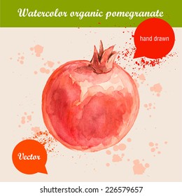 Vector watercolor hand drawn red pomegranate with watercolor drops. Organic food illustration.