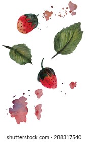 Vector watercolor hand drawn red strawberry with watercolor drops. Organic food illustration.
