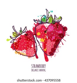 Vektorillustration Aquarell, handgezeichnet, rote Erdbeeren einzeln auf weißem Hintergrund. Sommerbeeren bunter Illustration. Ökologischer Landbau Design-Elemente für Etiketten oder Pakete.