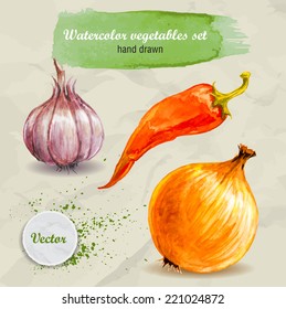 Vector watercolor hand drawn vegetable set on paper with watercolor drops. Organic food illustration. Garlic, red hot pepper and onion