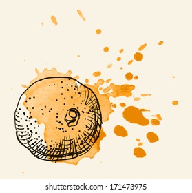 Vector watercolor hand drawn vintage illustration of orange