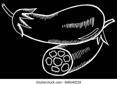 Vector watercolor hand drawn vintage illustration of eggplant