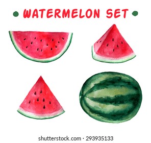 Vector watercolor hand drawn watermelon set. Organic food illustration.