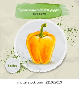 Vector watercolor hand drawn yellow bell pepper on round paper piece with watercolor drops. Organic food illustration.