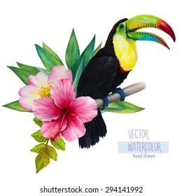 Vector watercolor hand-drawn illustration of a sitting on a branch rainbow toucan, hibiscus, palm tree, rose and green leaves. Isolated image on a white background. Tropical element