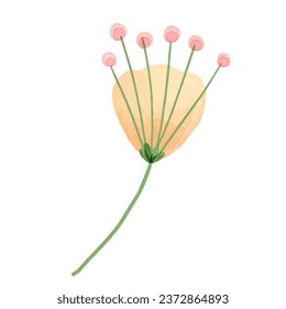 Vector watercolor herbs and flowers isolated on white.