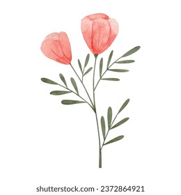 Vector watercolor herbs and flowers isolated on white.