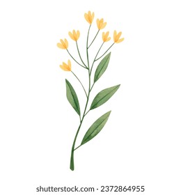 Vector watercolor herbs and flowers isolated on white.