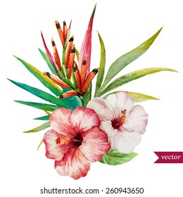 vector, watercolor, , hibiscus, jungle, palm trees, flowers, composition