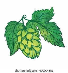 Vector Watercolor Hops Icon | Creative brewery hop logo template with green painted texture