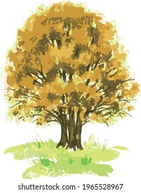 Vector watercolor iimage of deciduous tree in autumn