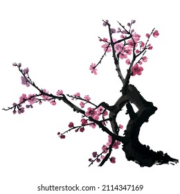 Vector watercolor illustration of branch of a blossoming fruit tree. Pink and red stylized flowers of plum mei, wild apricots and sakura.