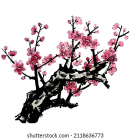 Vector watercolor illustration of branch of a blossoming fruit tree. Pink and red stylized flowers of plum mei, wild apricots and sakura.