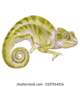 Vector watercolor illustration of chameleon.