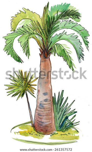 Vector Watercolor Illustration Coconut Palm Trees Stock Vector