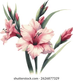Vector Watercolor Illustration of a Gladiolus