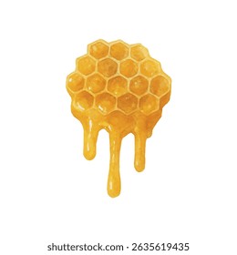 Vector watercolor illustration of honeycombs, made by hand. A beehive made by hand. Bee for postcard design, packaging, logo