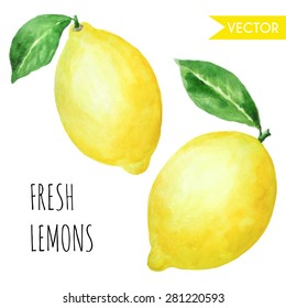 Vector watercolor illustration. Lemons with leaves isolated on white. Different type of pieces. Ideal for food packaging design