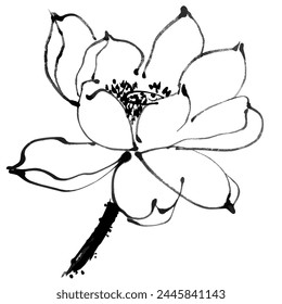 Vector watercolor illustration of of lotus flower composition. Chinese ink and wash painting.