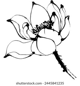 Vector watercolor illustration of of lotus flower composition. Chinese ink and wash painting.