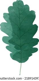 Vector watercolor illustration of an oak leaf isolated on background.