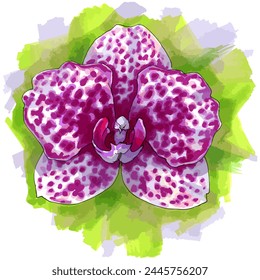 Vector watercolor illustration of orchid flower.