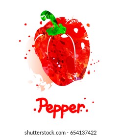 Vector watercolor illustration of pepper