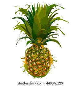 Vector watercolor illustration of pineapple