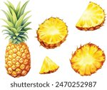 Vector watercolor illustration of pineapple with two slices. Isolated on white