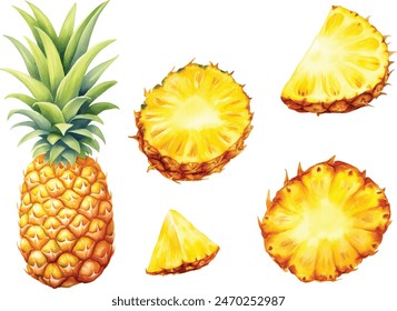 Vector watercolor illustration of pineapple with two slices. Isolated on white
