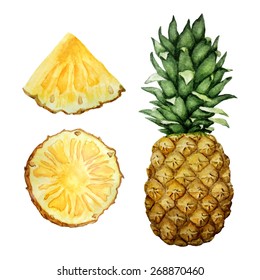 Vector watercolor illustration of pineapple with two slices. Isolated on white