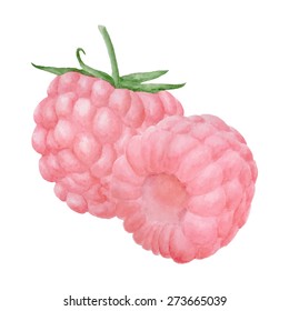 vector watercolor illustration of raspberry composition.