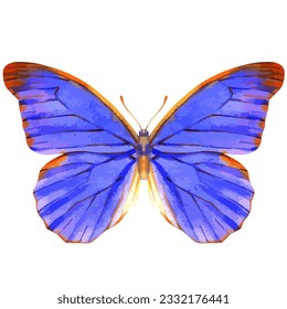 Vector watercolor illustration of realistic butterfly. Colorful image of tropical insect.